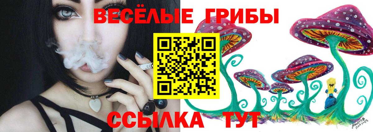 Лысьва  Псилоцибиновые грибы прущие грибы  Вход с VPN 